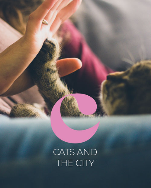 Eine Katze berührt die Hand eines Menschen. Sieht aus wie ein High Five. Darüber ist das Logo von "Cats and the City" platziert.