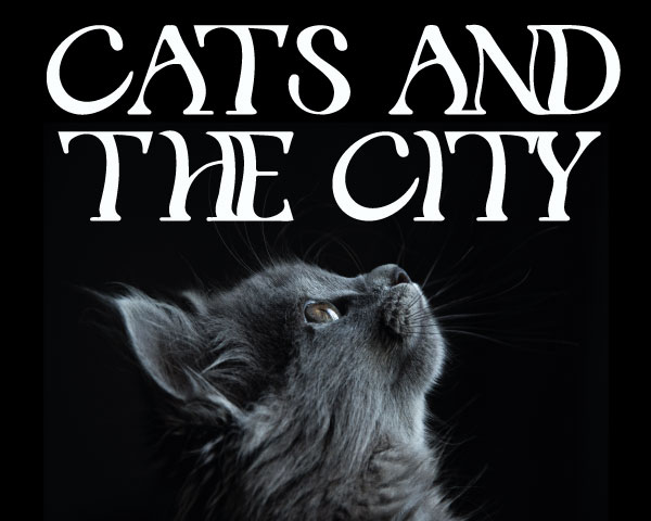 Logoscribble: Katze und Logo Cats and the City